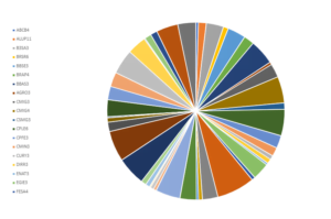 DIVO11 - O ETF DE DIVIDENDOS