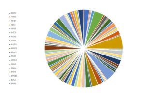 SMAL11 - O ETF DE SMALL CAPS